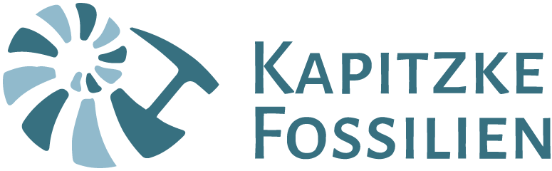 Kapitzke Logo quer