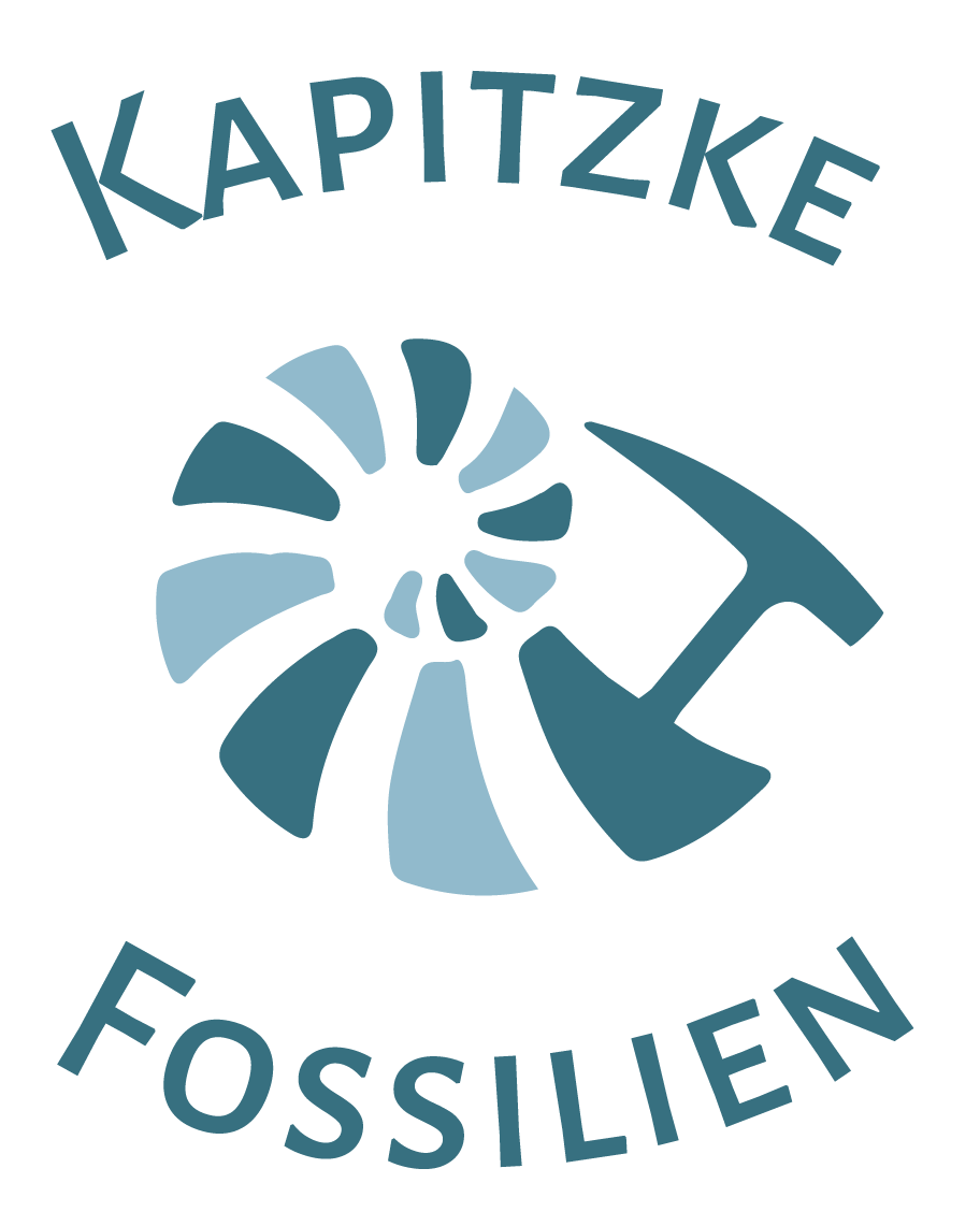 Logo Kapitzke