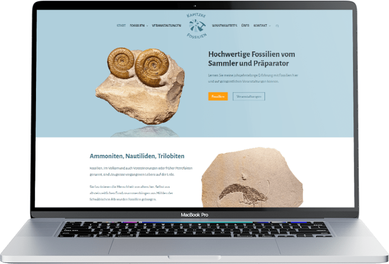 projekt website kapitzke fossilien